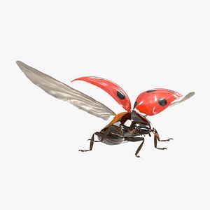 flying ladybug 3d model