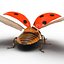 flying ladybug 3d model