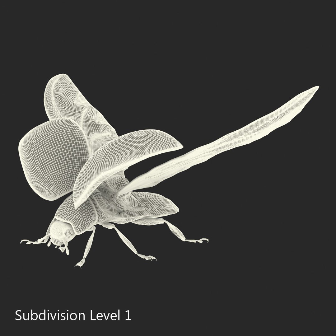 flying ladybug 3d model https://p.turbosquid.com/ts-thumb/2y/D0E9Rp/Lshelnsm/flyingladybug3dmodel22/jpg/1462993064/1920x1080/fit_q87/ee1b7eaf41b38cb5cf963298dbb7a1fcf5b6befc/flyingladybug3dmodel22.jpg