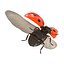 flying ladybug 3d model