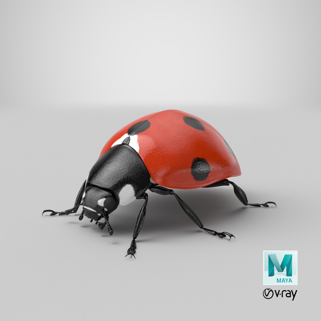 flying ladybug 3d model https://p.turbosquid.com/ts-thumb/2y/D0E9Rp/Xf/stemcell_maya_vray_render/png/1657177341/1920x1080/fit_q87/6bdd99a58792ecf0319dbba977c5d909a70689b2/stemcell_maya_vray_render.jpg