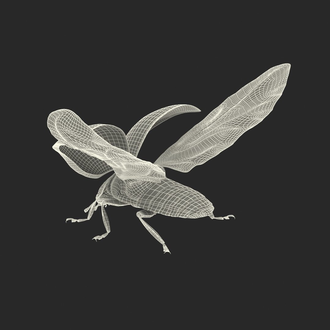 flying ladybug 3d model https://p.turbosquid.com/ts-thumb/2y/D0E9Rp/dCK1CgD2/flyingladybug3dmodel33/jpg/1462993065/1920x1080/fit_q87/bdd4e8f59f7b42864d27ae251500d5908392914c/flyingladybug3dmodel33.jpg