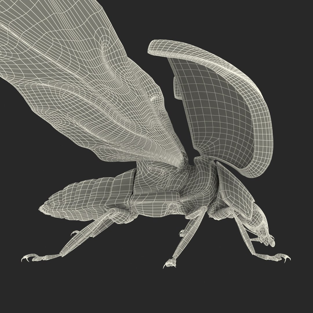 flying ladybug 3d model https://p.turbosquid.com/ts-thumb/2y/D0E9Rp/lIwONzuR/flyingladybug3dmodel44/jpg/1462993065/1920x1080/fit_q87/06992e1561bad7aff84d15d7622e4d4282e415bb/flyingladybug3dmodel44.jpg