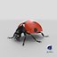 flying ladybug 3d model