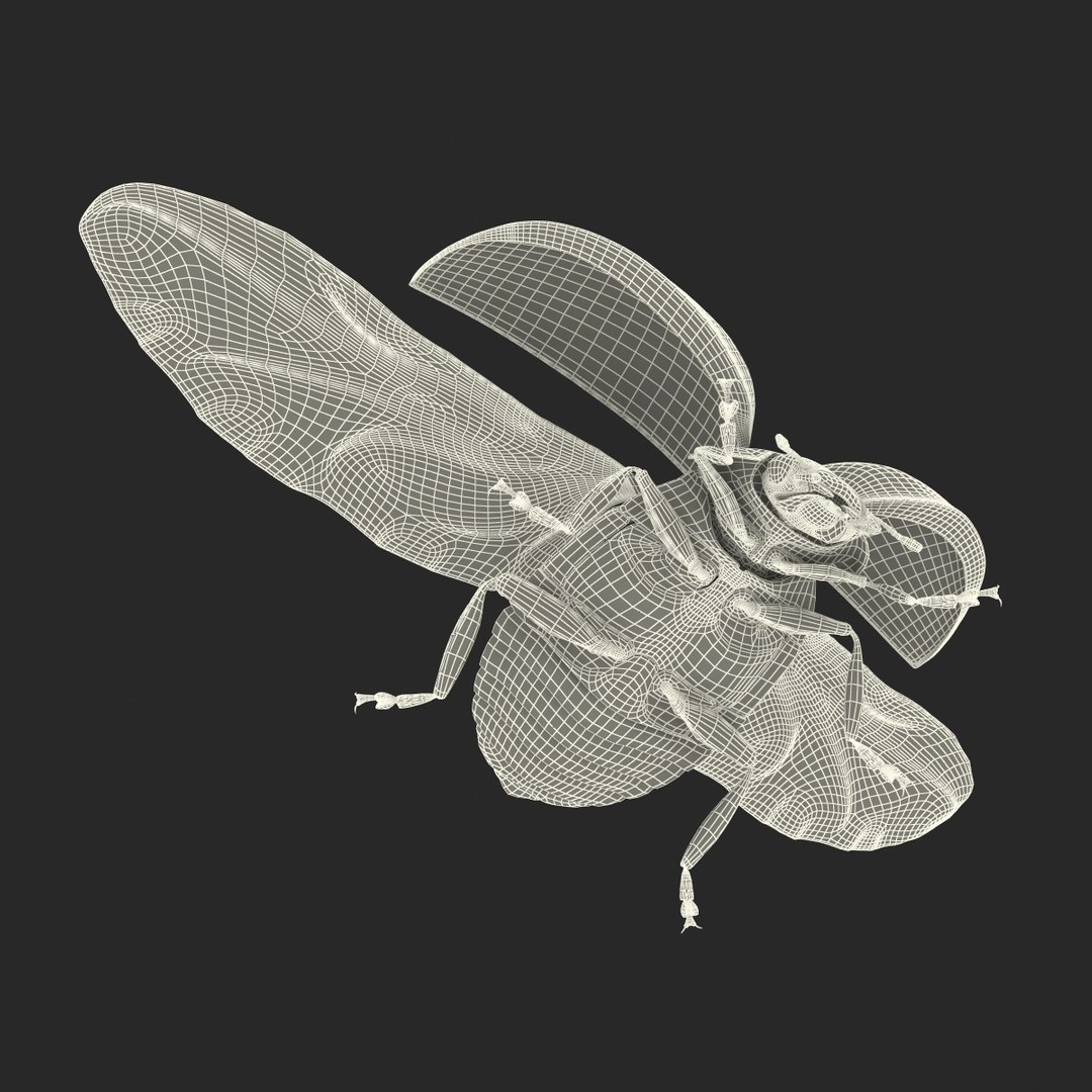 flying ladybug 3d model https://p.turbosquid.com/ts-thumb/2y/D0E9Rp/qsHswNpH/flyingladybug3dmodel38/jpg/1462993065/1920x1080/fit_q87/b31027fe6de4d39c7e82d98cf7c0f7c719fc3d19/flyingladybug3dmodel38.jpg