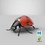 flying ladybug 3d model