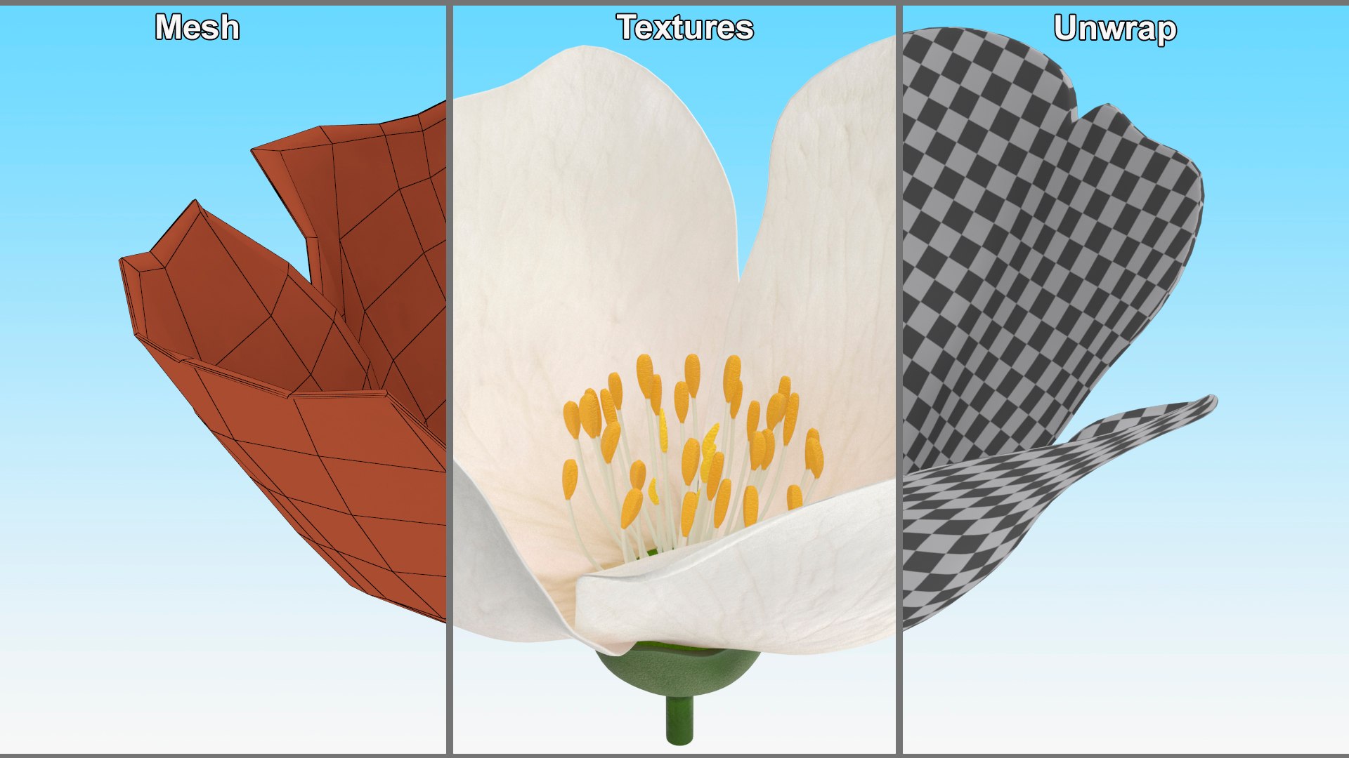 3D Jasmine Flower https://p.turbosquid.com/ts-thumb/2y/PZXzhY/9c/jasmineflowermb3dmodel015/jpg/1704406539/1920x1080/fit_q87/a0a73b6341ce8370f0e6d0651f9453962cc35b3b/jasmineflowermb3dmodel015.jpg