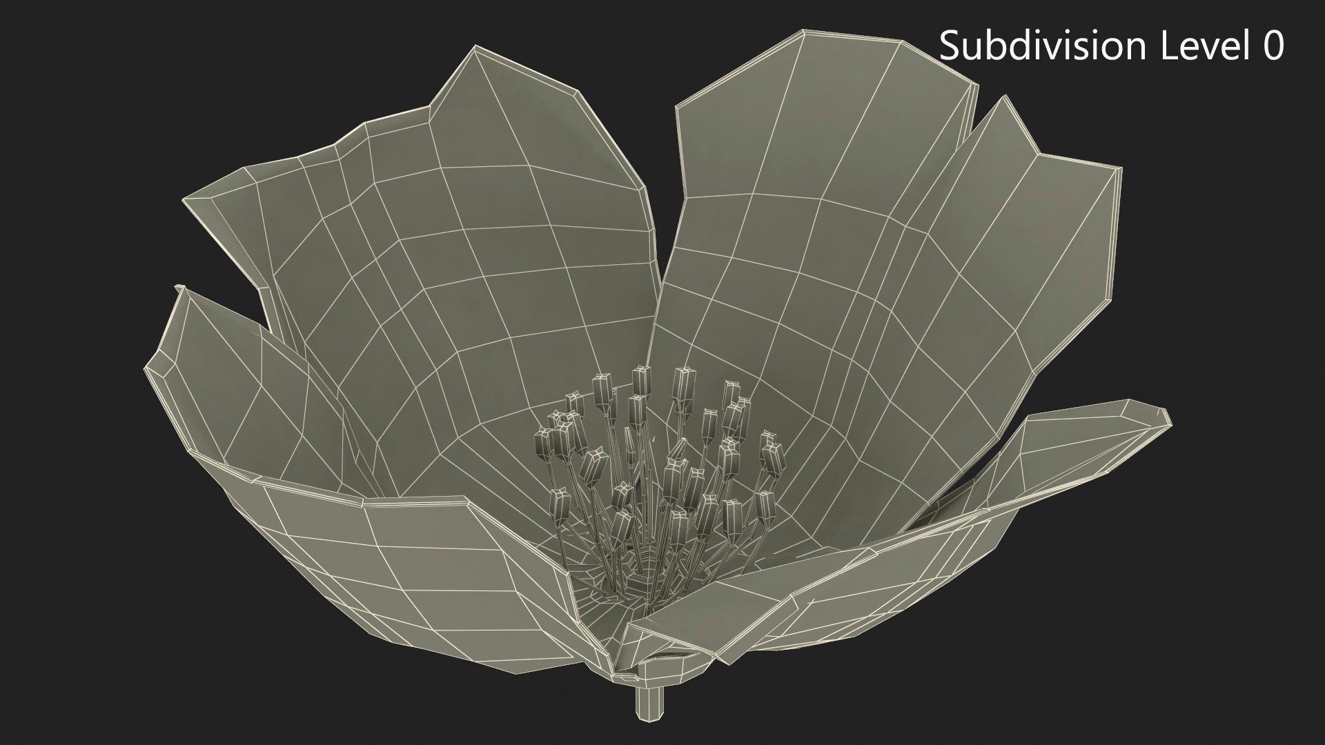 3D Jasmine Flower https://p.turbosquid.com/ts-thumb/2y/PZXzhY/Mp/jasmineflowermb3dmodel016/jpg/1704406544/1920x1080/fit_q87/0dbe76f952b38f702c40013e28d04033ce2d102f/jasmineflowermb3dmodel016.jpg