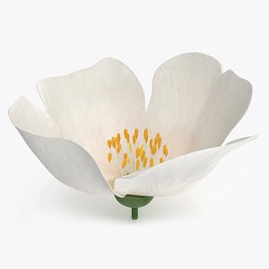 3D Jasmine Flower