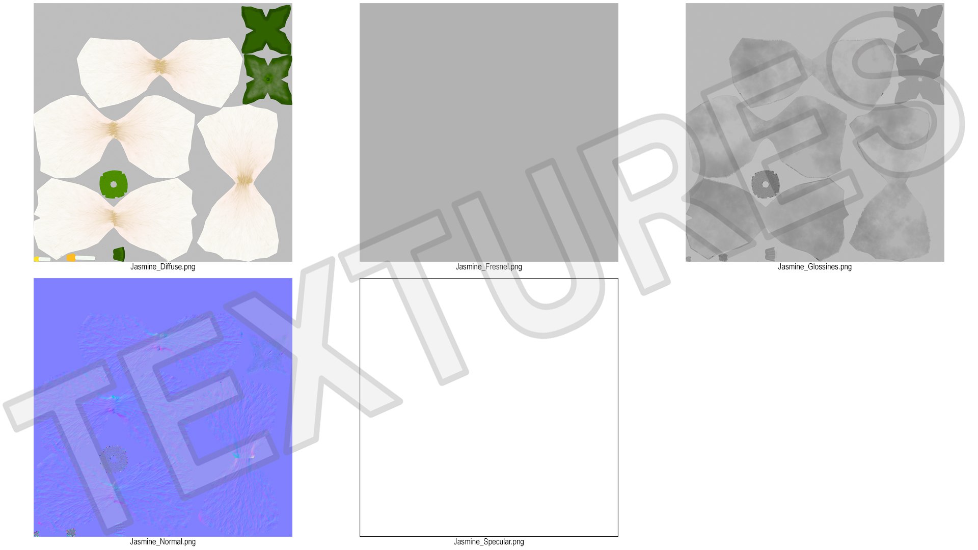 3D Jasmine Flower https://p.turbosquid.com/ts-thumb/2y/PZXzhY/gp/jasmineflowermb3dmodel019/jpg/1704406557/1920x1080/fit_q87/08feb89e4ba8f3f4526c430a8c6187a5a941a870/jasmineflowermb3dmodel019.jpg