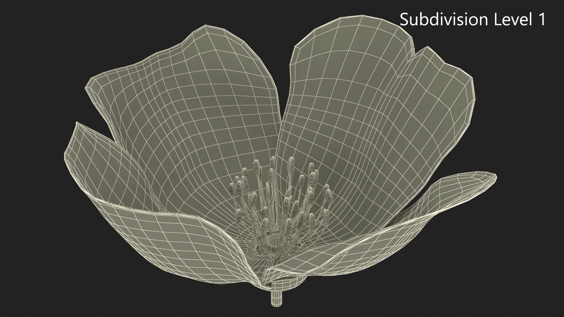 3D Jasmine Flower https://p.turbosquid.com/ts-thumb/2y/PZXzhY/iy/jasmineflowermb3dmodel017/jpg/1704406548/1920x1080/fit_q87/d0d9460469613ede50172faf66e16cad5b41761b/jasmineflowermb3dmodel017.jpg