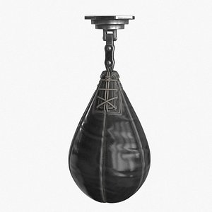Boxing Punching Speed Bag v1(1)