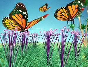 3d butterfly fly model