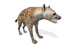3D model wild animal hyena rigged