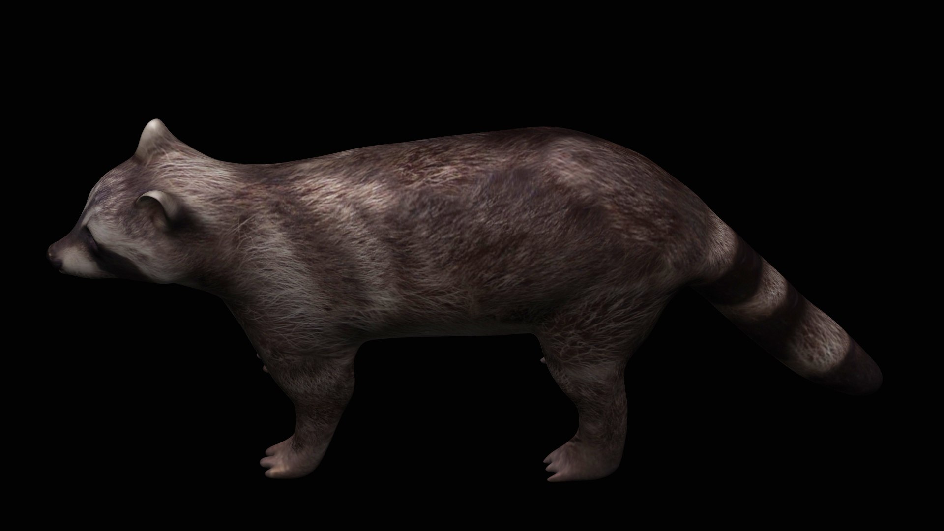 Fully Rigged Brown Raccoon 3D Model - TurboSquid 1710709