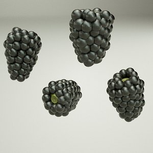 photorealistic blackberries 3D model