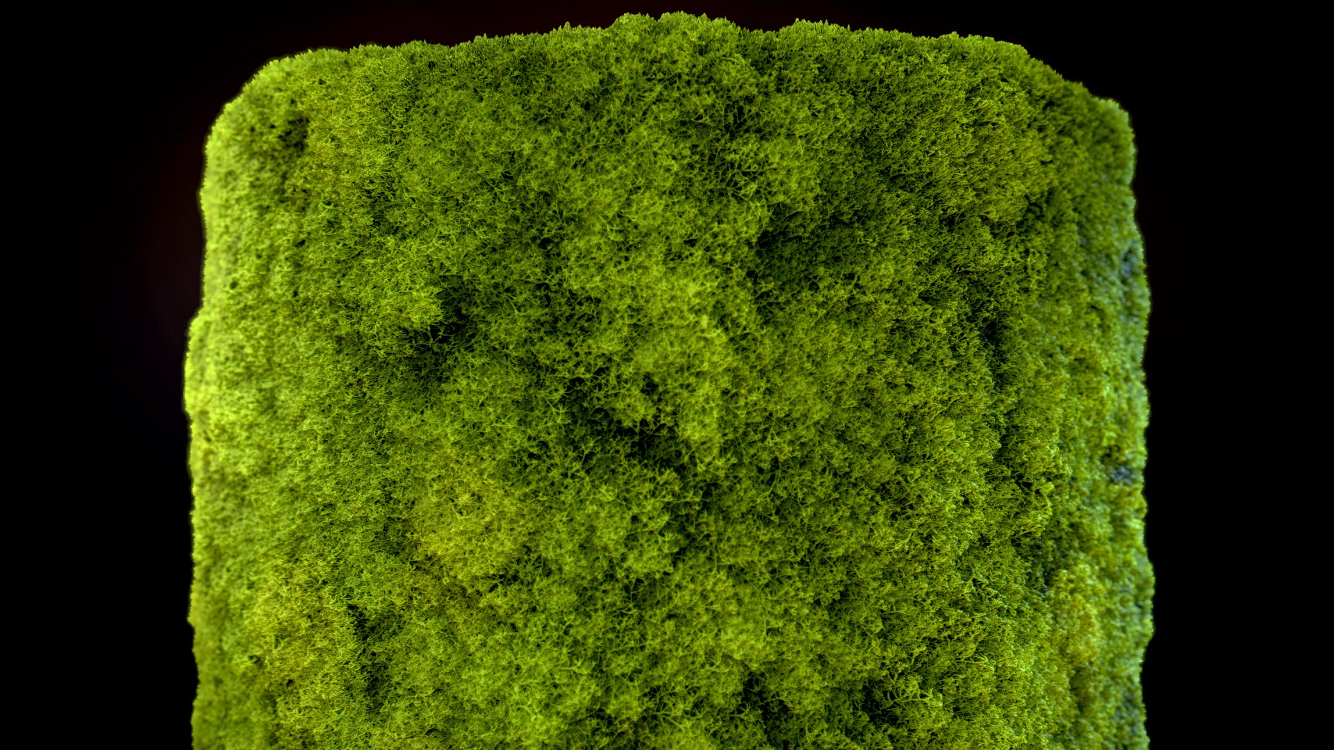 Seamless PBR Moss Substance Material Textures 3D Model - TurboSquid 2356275