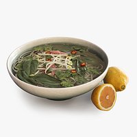 Vietnamese Pho Soup