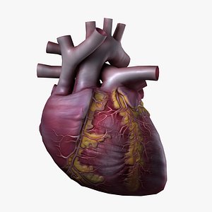 Heart High Quality