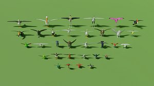Birds Pack