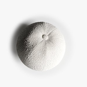 3D Boucle material plus  Spherical  pillow cushion as a bonus model