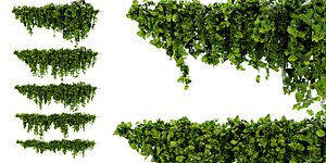 Collection plant vol 437 - blender model