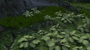 leaves 3d model