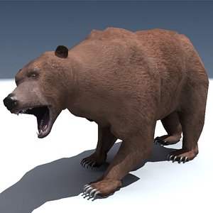 rigged grizzly bear 3d model