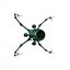 Underwater Robot