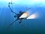 Underwater Robot