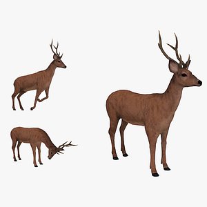 Animated stag