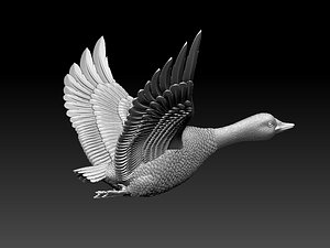 3D duck goose bird model