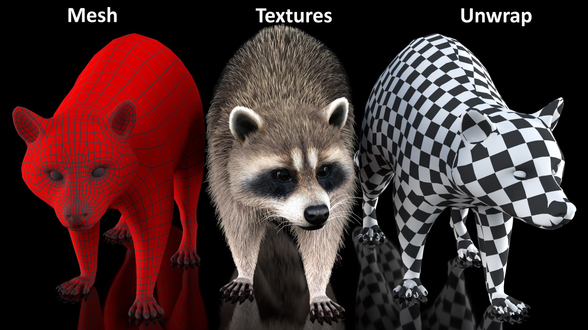 Raccoon Walking Pose Fur 3D https://p.turbosquid.com/ts-thumb/30/1qGROs/2J/raccoonwalkingposefurc4dmodel018/jpg/1648197685/1920x1080/fit_q87/5df9c42d34c5ec3e1a1de224976c21bee792c87a/raccoonwalkingposefurc4dmodel018.jpg