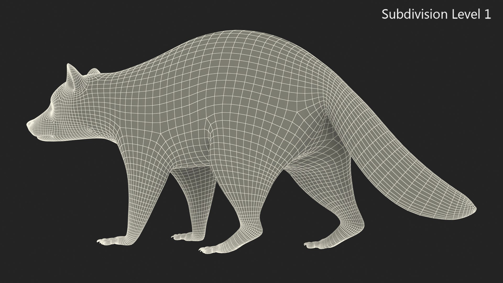 Raccoon Walking Pose Fur 3D https://p.turbosquid.com/ts-thumb/30/1qGROs/UF/raccoonwalkingposefurc4dmodel019/jpg/1648197687/1920x1080/fit_q87/79c5c6d423cc3a0149749099b25b57e82c995c1d/raccoonwalkingposefurc4dmodel019.jpg