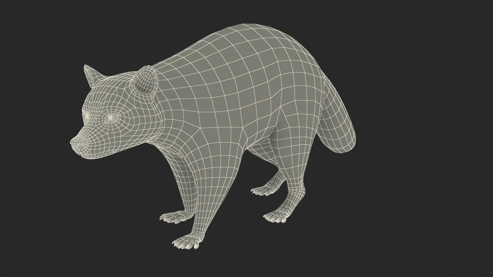 Raccoon Walking Pose Fur 3D https://p.turbosquid.com/ts-thumb/30/1qGROs/hT/raccoon_walking_pose_fur_361/jpg/1648197715/1920x1080/turn_fit_q99/8f29fa135a4b296e3c4d7f50db51a57caf289bc7/raccoon_walking_pose_fur_361-1.jpg
