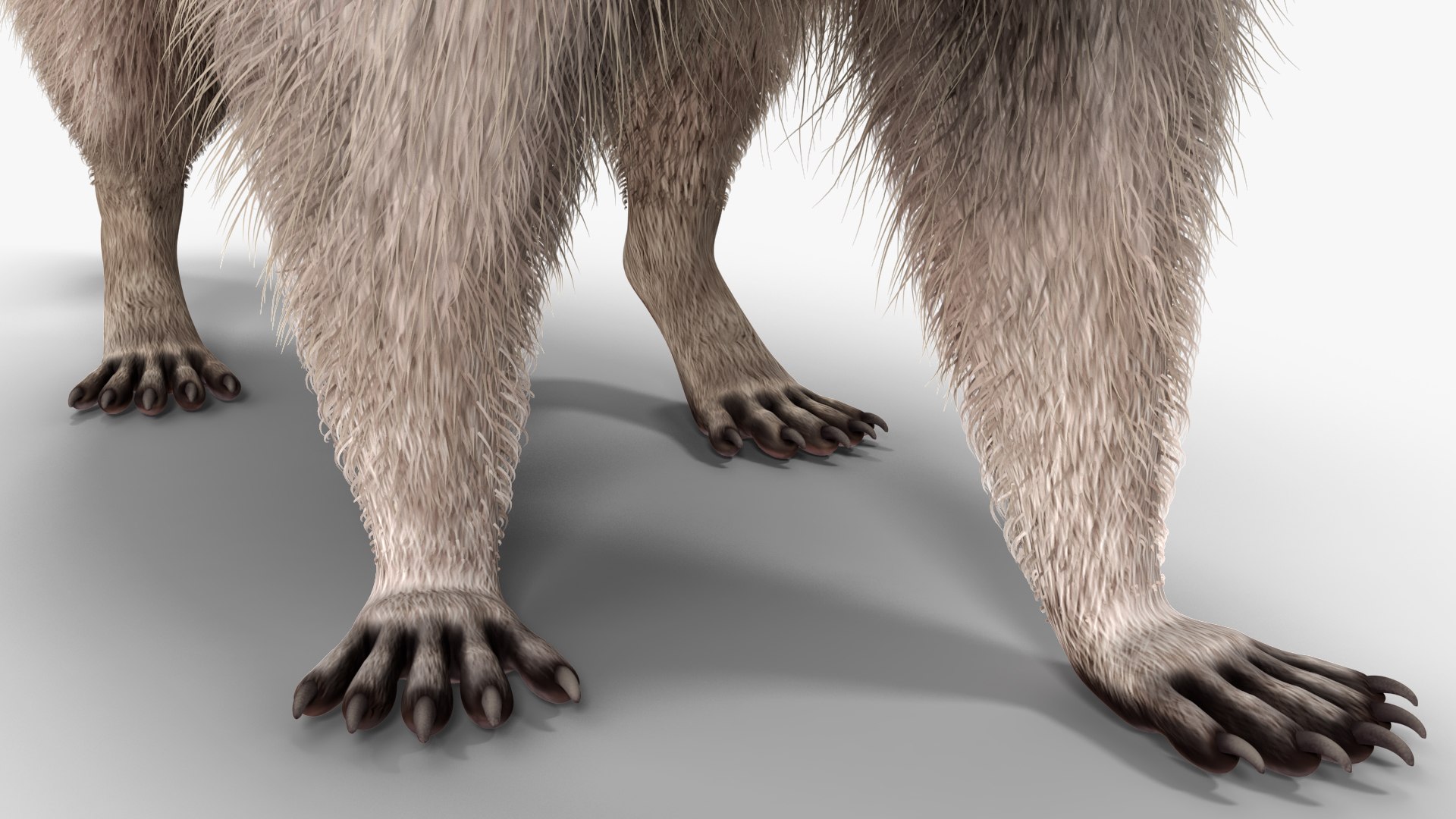 Raccoon Walking Pose Fur 3D https://p.turbosquid.com/ts-thumb/30/1qGROs/sI/raccoonwalkingposefurc4dmodel017/jpg/1648197683/1920x1080/fit_q87/729ebf06cc1f04763a30fd82a495df363dd9dcc0/raccoonwalkingposefurc4dmodel017.jpg