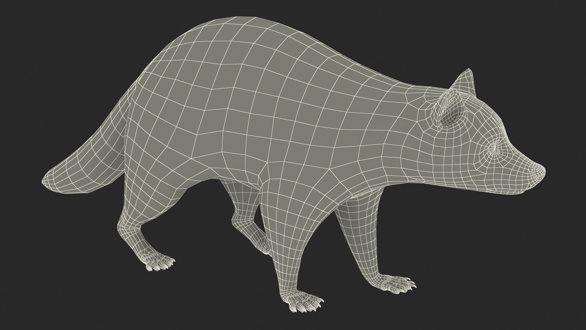 Raccoon Walking Pose Fur 3D https://p.turbosquid.com/ts-thumb/30/1qGROs/uS/raccoonwalkingposefurc4dmodel024/jpg/1648197701/1920x1080/fit_q87/9ba999a72028f72e8bcc298e297fac4a4c77f3dc/raccoonwalkingposefurc4dmodel024.jpg
