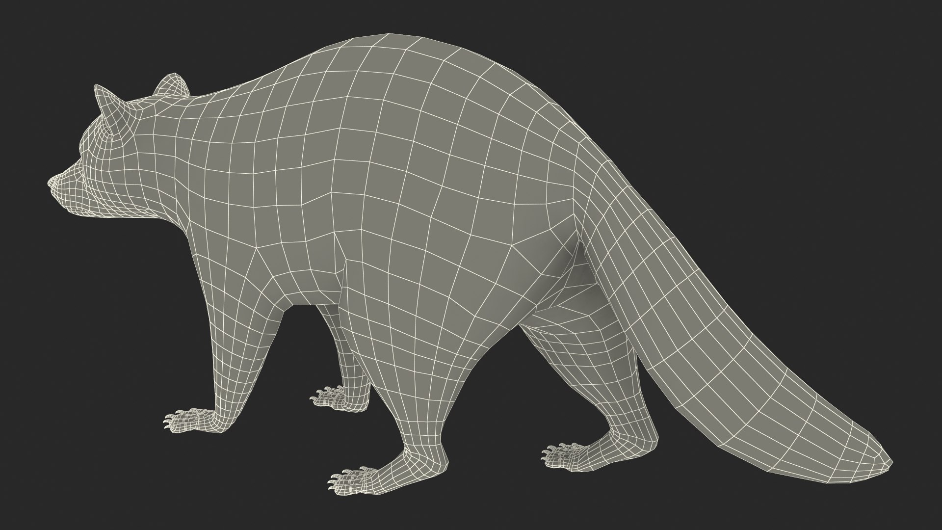 Raccoon Walking Pose Fur 3D https://p.turbosquid.com/ts-thumb/30/1qGROs/wa/raccoonwalkingposefurc4dmodel025/jpg/1648197704/1920x1080/fit_q87/4ac96103dbacc81201153580ea6f27900046cbb2/raccoonwalkingposefurc4dmodel025.jpg