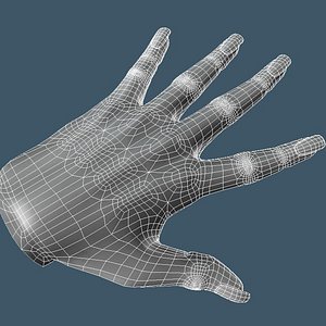 Female Hand