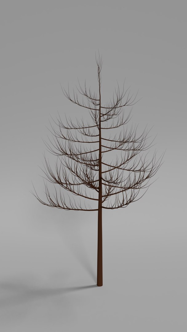 package trees leaves 3D model https://p.turbosquid.com/ts-thumb/30/S7MkAx/iIi2SUsa/tree02dead/png/1542789538/1920x1080/fit_q87/ca4a509d08e006b809516f63a0fee59ba49c2dc6/tree02dead.jpg