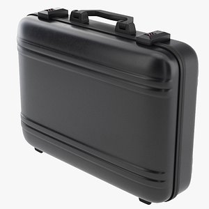Briefcase model