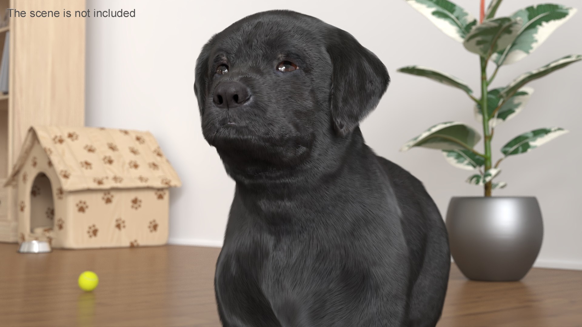 3D Labrador Retriever Puppy Black Fur - TurboSquid 2422392