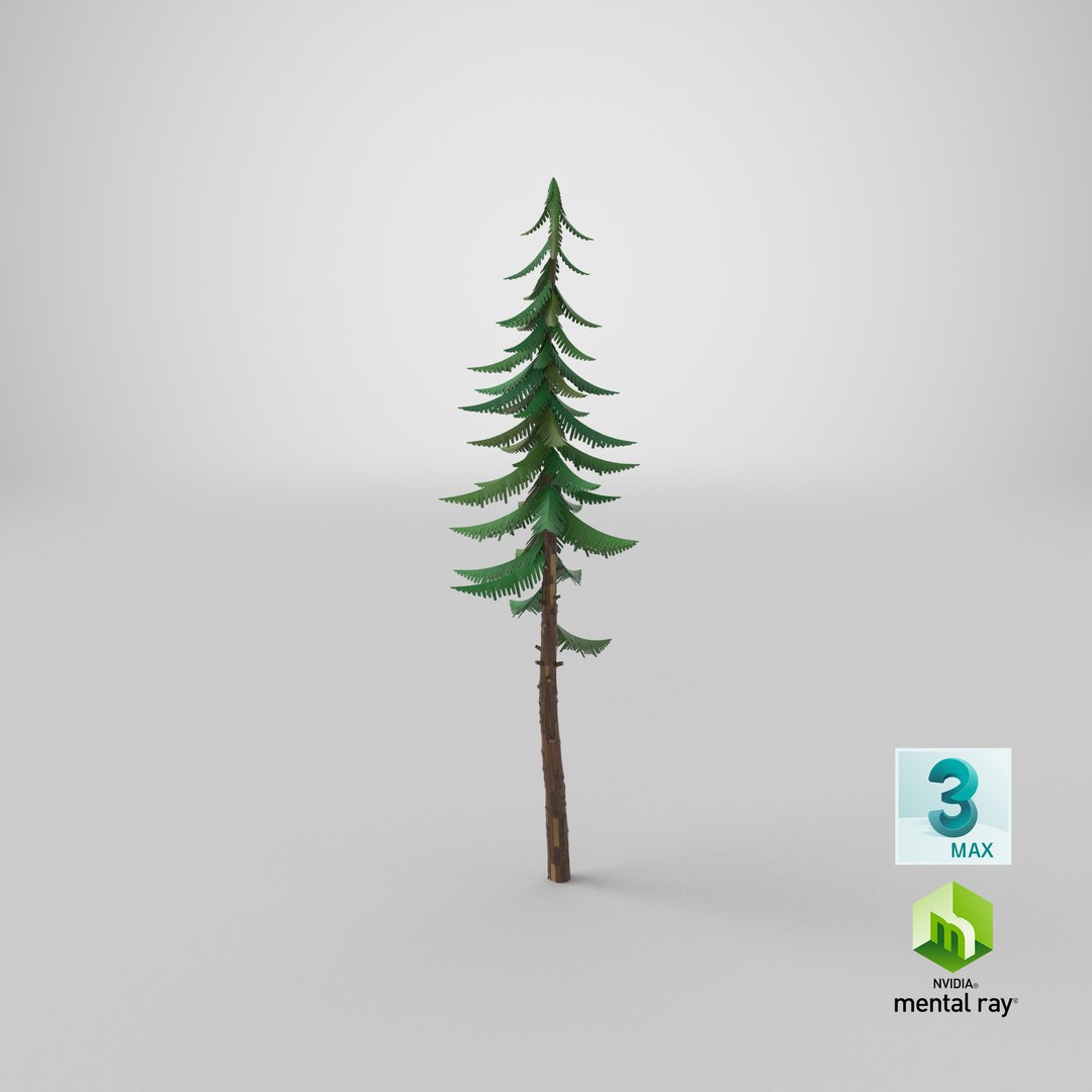 3D Cartoon Pine 01 https://p.turbosquid.com/ts-thumb/30/uh7IAU/QM/stemcell_max_mental_ray_render/png/1661453634/1920x1080/fit_q87/1d1d383da7bbfd0ce04aa11aa88f75c5aefe1186/stemcell_max_mental_ray_render.jpg