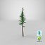 Cartoon Pine 01