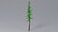 Cartoon Pine 01