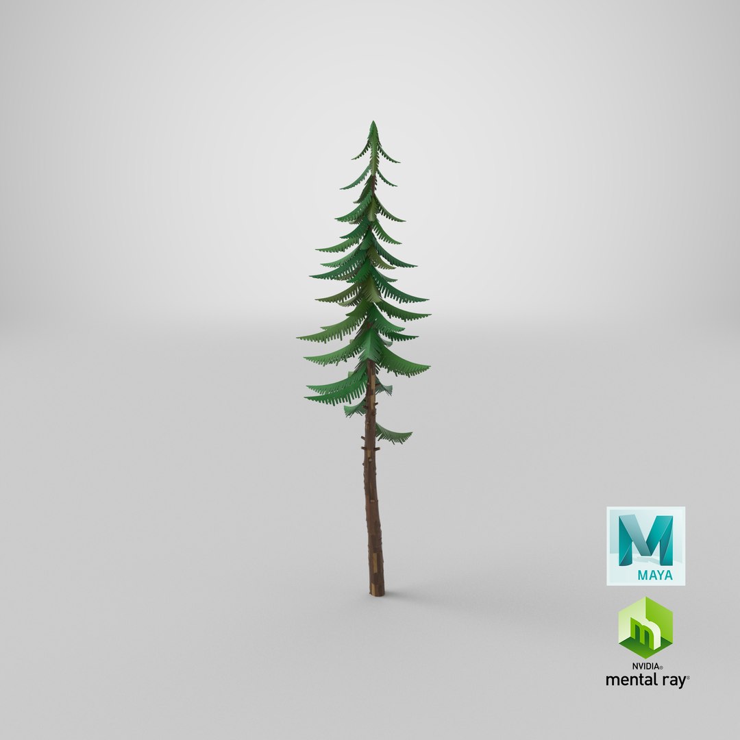 3D Cartoon Pine 01 https://p.turbosquid.com/ts-thumb/30/uh7IAU/iH/stemcell_maya_mental_ray_render/png/1661453639/1920x1080/fit_q87/60ce5b0ed490a3a6fbe623d7051d4ad094499ead/stemcell_maya_mental_ray_render.jpg