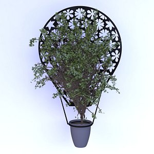 3D wall climber plants
