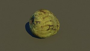 Cherimoya custard apple