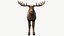 Moose