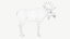 Moose